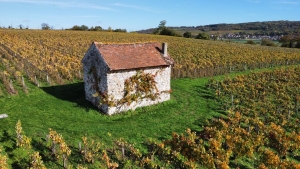 CHAMPAGNE ALAIN BEDEL - La cabane dans les vignes 
